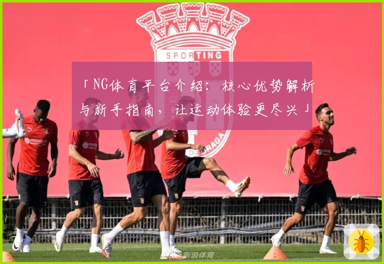 「NG体育平台介绍：核心优势解析与新手指南，让运动体验更尽兴」